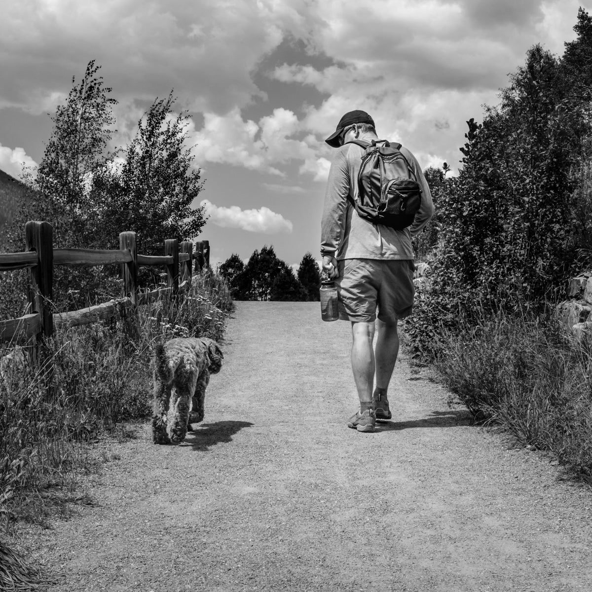 New Year, New Me:  Rolling Back the Year